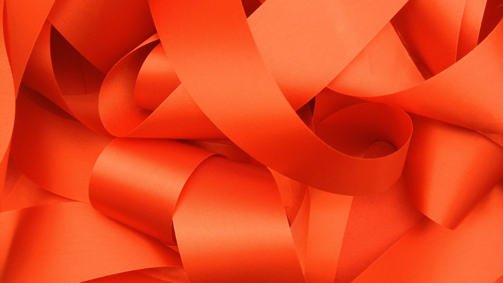 Ribbon Cutting Lush Puppy Pet Boutique